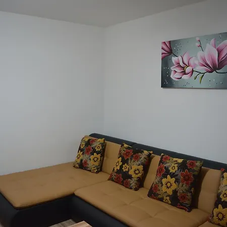 Apartment Classic Studio Brasov