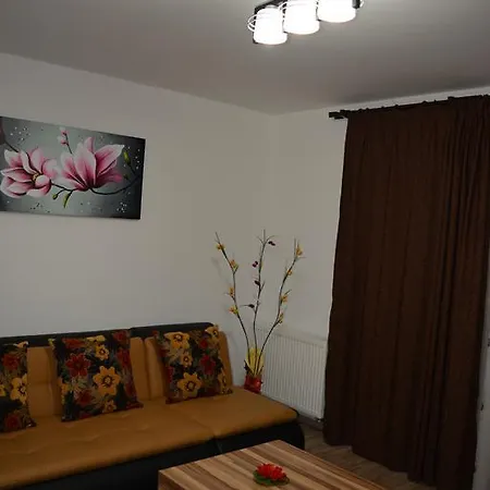 Classic Studio Apartment Brasov