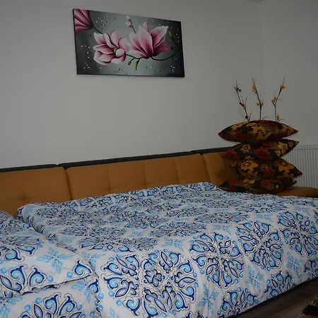 Apartment Classic Studio *
